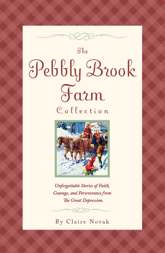 Pebbly Brook Finish Cover website
